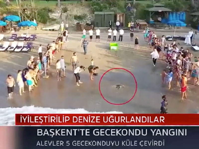 TV 100 - Akdeniz'in En Önemli Tedavi Mekezi